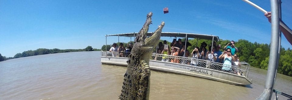 Jumping-Crocodile-Tours